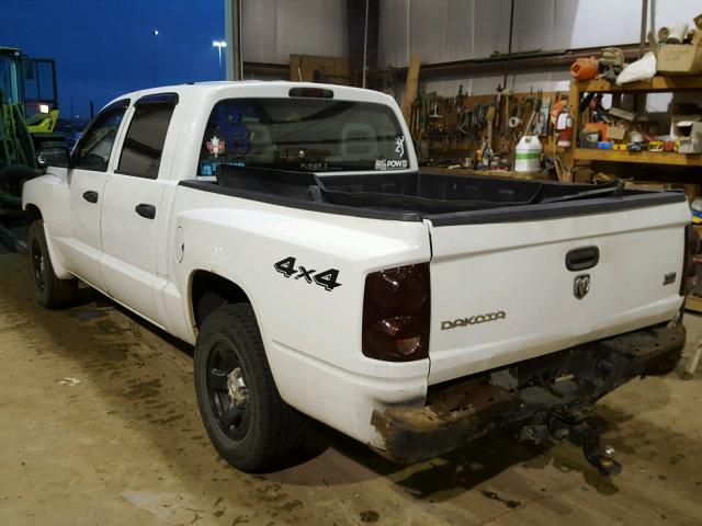 1D7HW28N05S279187 - 2005 DODGE DAKOTA QUA WHITE photo 3