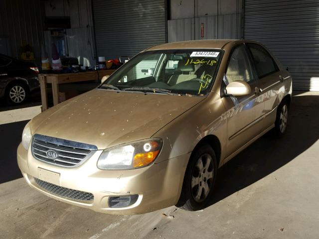 KNAFE221595652137 - 2009 KIA SPECTRA EX GOLD photo 2