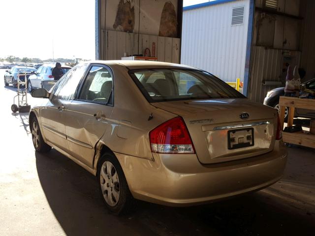 KNAFE221595652137 - 2009 KIA SPECTRA EX GOLD photo 3