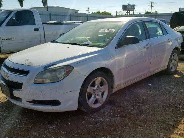 1G1ZB5EB6A4145619 - 2010 CHEVROLET MALIBU LS თეთრი ფოტო 2