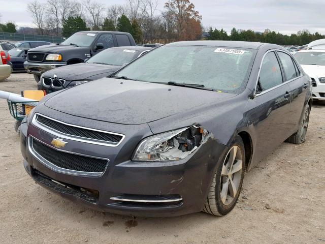 1G1ZC5EU3BF147025 - 2011 CHEVROLET MALIBU 1LT ნაცრისფერი ფოტო 2