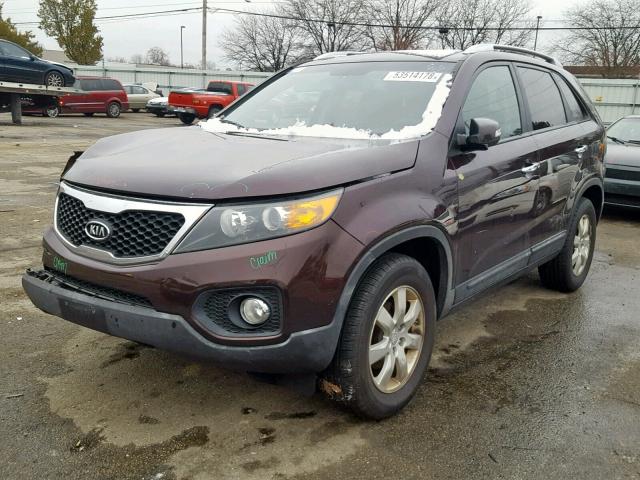 5XYKT4A15BG133686 - 2011 KIA SORENTO BA BURGUNDY photo 2