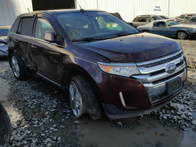 2FMDK4KC6BBA41014 - 2011 FORD EDGE LIMIT PURPLE photo 1