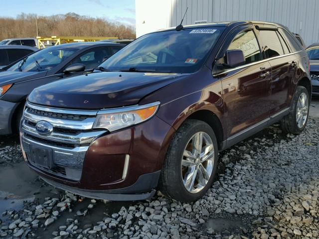 2FMDK4KC6BBA41014 - 2011 FORD EDGE LIMIT PURPLE photo 2