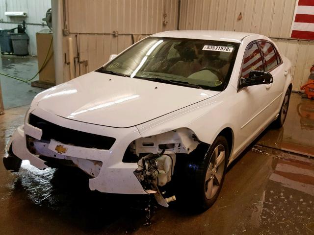 1G1ZC5EU0BF365536 - 2011 CHEVROLET MALIBU 1LT 白色 照片 2