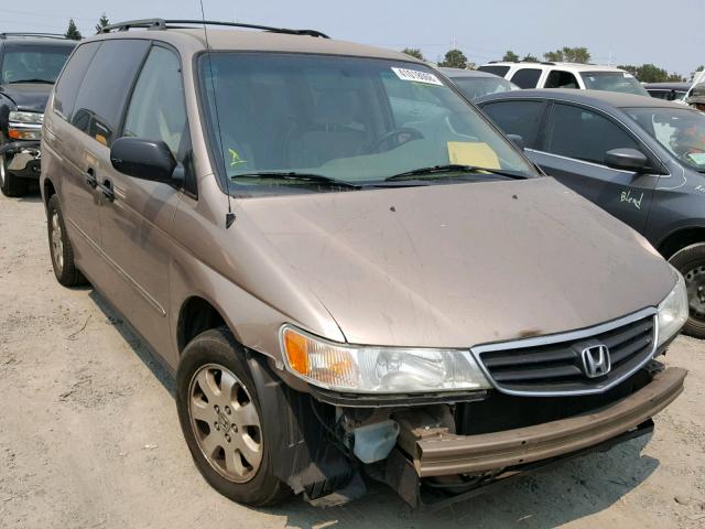 5FNRL18523B020261 - 2003 HONDA ODYSSEY LX GOLD photo 1