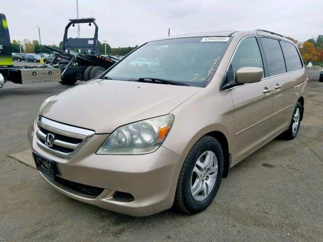 5FNRL38606B446104 - 2006 HONDA ODYSSEY EX GOLD photo 2