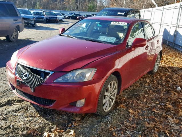 JTHCK262585020043 - 2008 LEXUS IS 250 RED photo 2