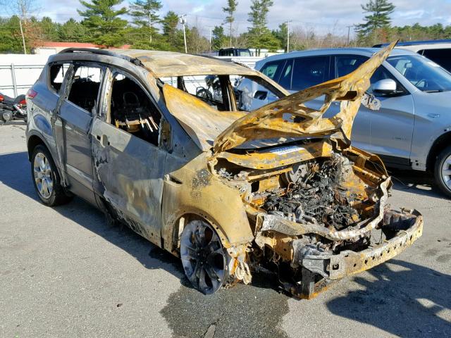 1FMCU9JX6EUC72081 - 2014 FORD ESCAPE TIT BURN photo 1