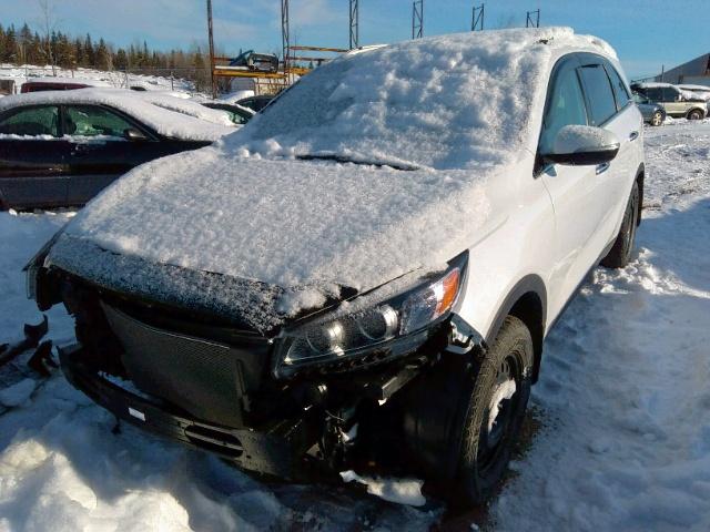 5XYPGDA39GG113671 - 2016 KIA SORENTO LX WHITE photo 2