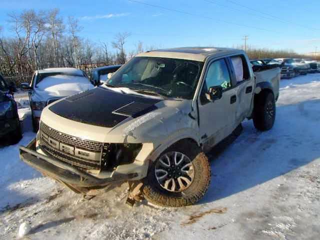 1FTFW1R63EFB04850 - 2014 FORD F150 SVT R TAN photo 2