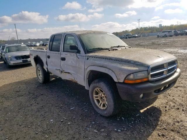 1D7HG38K34S525270 - 2004 DODGE DAKOTA QUA WHITE photo 1