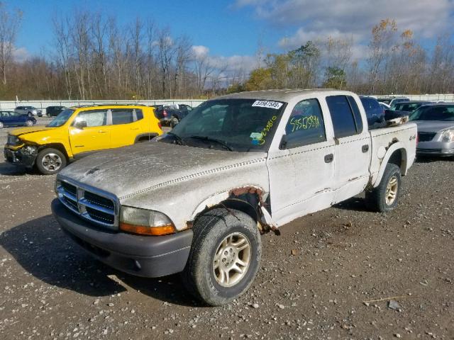 1D7HG38K34S525270 - 2004 DODGE DAKOTA QUA WHITE photo 2