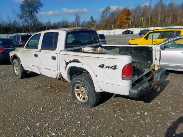 1D7HG38K34S525270 - 2004 DODGE DAKOTA QUA WHITE photo 3