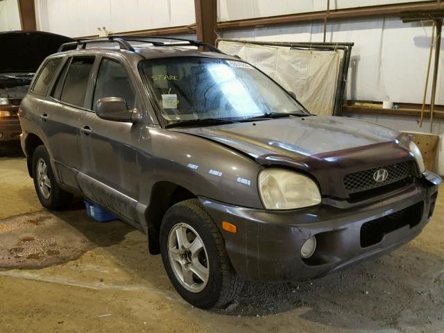 KM8SB73D04U629522 - 2004 HYUNDAI SANTA FE B GRAY photo 1