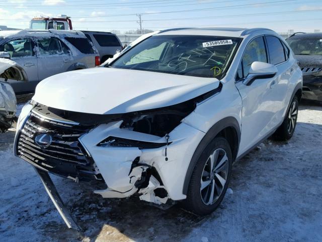 JTJBARBZ1J2150904 - 2018 LEXUS NX 200T WHITE photo 2