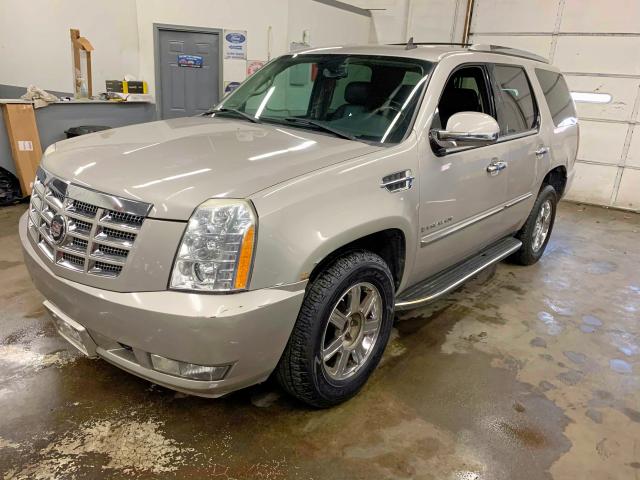 1GYEC63897R264044 - 2007 CADILLAC ESCALADE L GOLD photo 2