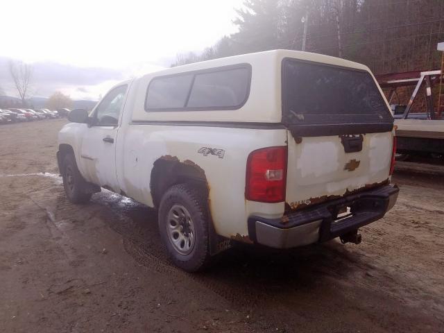 1GCEK14C18Z117474 - 2008 CHEVROLET SILVERADO BEIGE photo 3