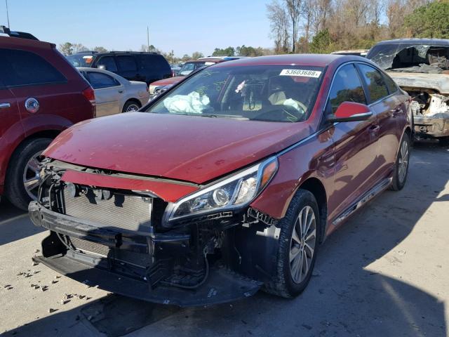 5NPE34AF9GH302617 - 2016 HYUNDAI SONATA SPO RED photo 2