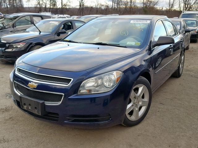 1G1ZB5EB2A4143530 - 2010 CHEVROLET MALIBU LS 蓝色 照片 2