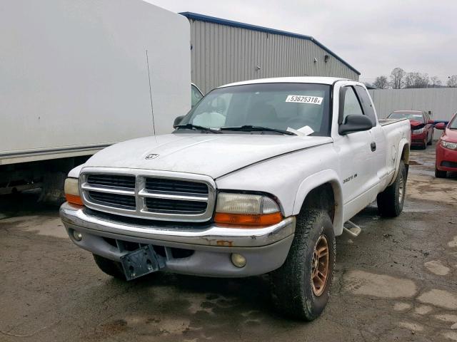 1B7GG22X7YS509079 - 2000 DODGE DAKOTA WHITE photo 2