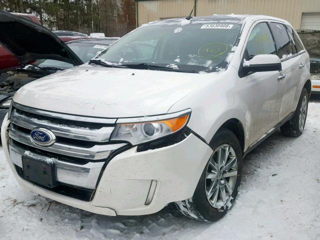 2FMDK4JC6BBB44399 - 2011 FORD EDGE SEL WHITE photo 2