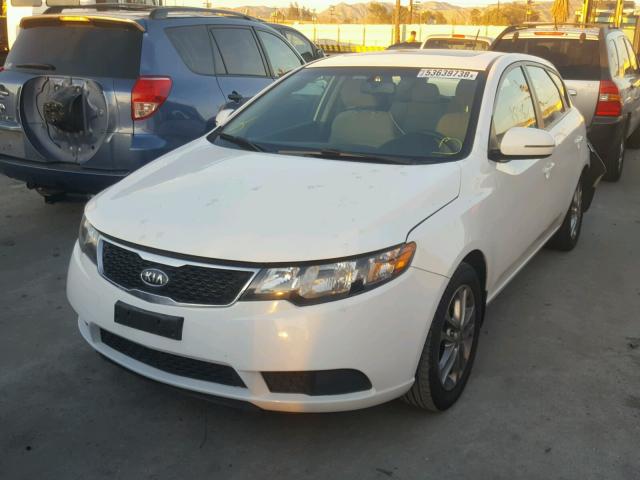 KNAFU5A26C5569032 - 2012 KIA FORTE EX WHITE photo 2