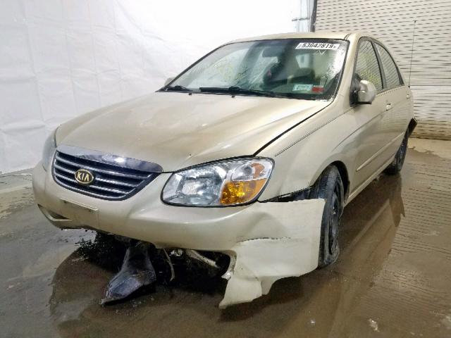 KNAFE222X95659013 - 2009 KIA SPECTRA EX TAN photo 2