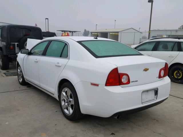 1G1ZH57B09F254296 - 2009 CHEVROLET MALIBU 1LT 白色 照片 3