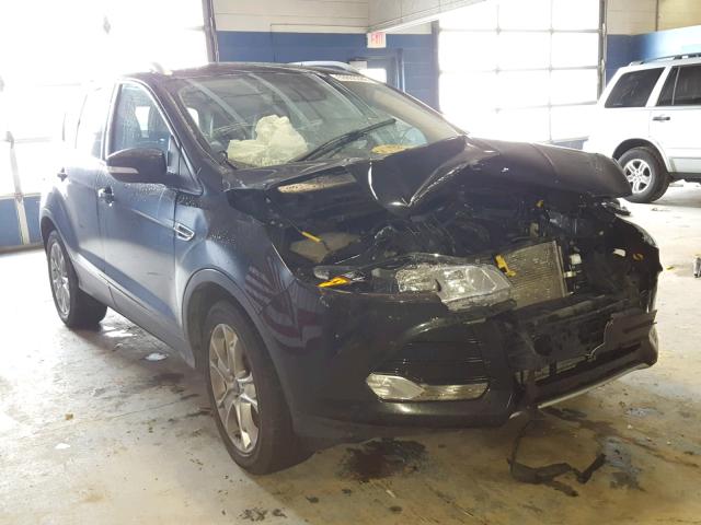 1FMCU0J94EUD59605 - 2014 FORD ESCAPE TIT BLACK photo 1