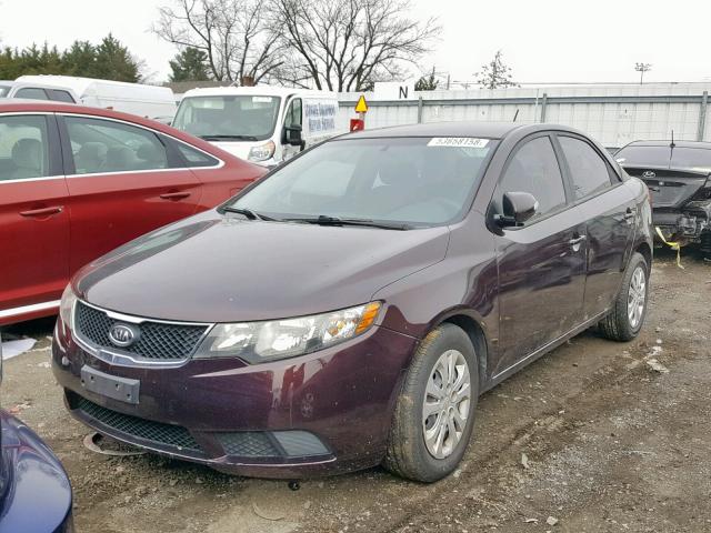 KNAFU4A23A5815509 - 2010 KIA FORTE EX BURGUNDY photo 2