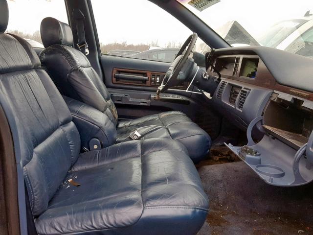 1G1BN53EXMW186592 - 1991 CHEVROLET CAPRICE CL BLUE photo 5