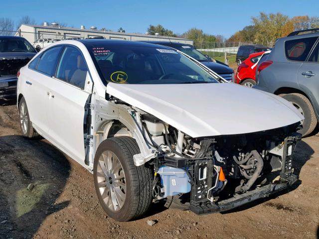 5NPE34AF4FH253230 - 2015 HYUNDAI SONATA SPO WHITE photo 1