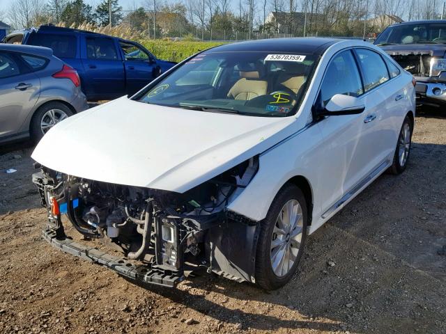 5NPE34AF4FH253230 - 2015 HYUNDAI SONATA SPO WHITE photo 2