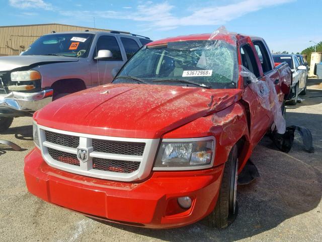 1D7CE3GK2AS139825 - 2010 DODGE DAKOTA SXT RED photo 2