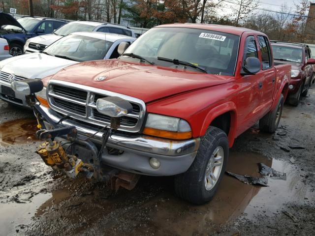 1D7HG48N54S706788 - 2004 DODGE DAKOTA QUA RED photo 2