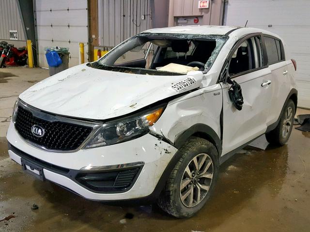 KNDPBCAC2G7816972 - 2016 KIA SPORTAGE L WHITE photo 2