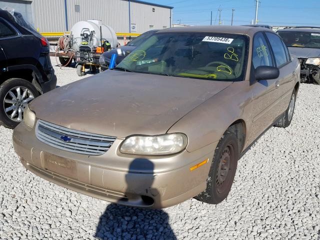 1G1ND52F75M161768 - 2005 CHEVROLET CLASSIC TAN photo 2