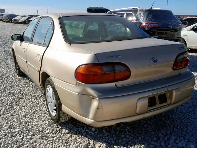 1G1ND52F75M161768 - 2005 CHEVROLET CLASSIC TAN photo 3