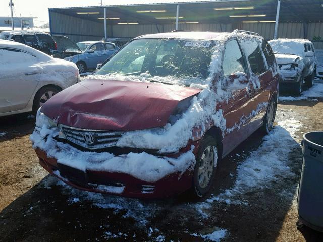 5FNRL18064B002500 - 2004 HONDA ODYSSEY EX RED photo 2