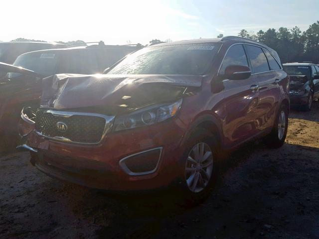 5XYPG4A52GG096729 - 2016 KIA SORENTO LX RED photo 2