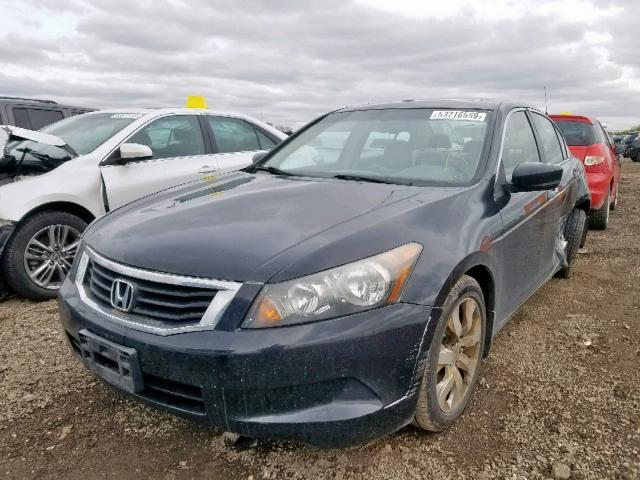 1HGCP26839A167253 - 2009 HONDA ACCORD EXL BLACK photo 2