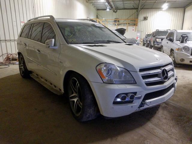 4JGBF2FE9BA643946 - 2011 MERCEDES-BENZ GL 350 BLU WHITE photo 1