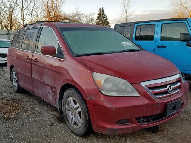 5FNRL38605B408984 - 2005 HONDA ODYSSEY EX BURGUNDY photo 1