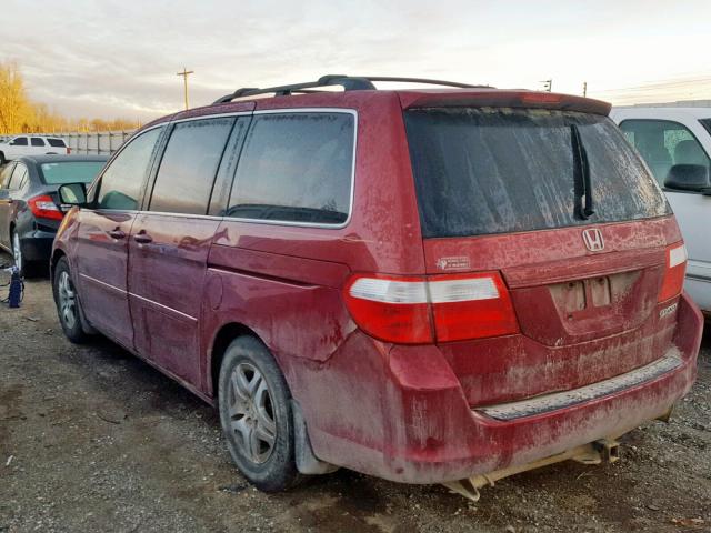 5FNRL38605B408984 - 2005 HONDA ODYSSEY EX BURGUNDY photo 3