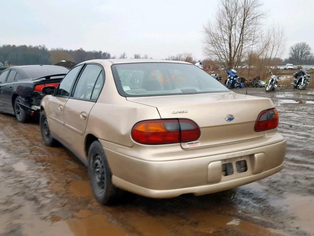 1G1ND52F65M158179 - 2005 CHEVROLET CLASSIC BEIGE photo 3