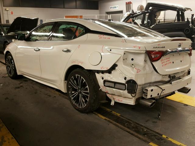 1N4AA6AP3HC404555 - 2017 NISSAN MAXIMA 3.5 WHITE photo 3