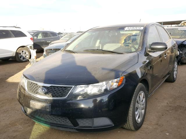 KNAFU4A27D5650486 - 2013 KIA FORTE EX BLACK photo 2