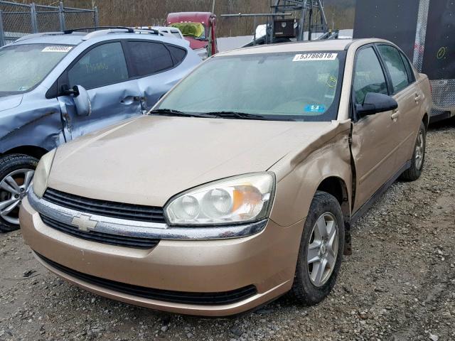 1G1ZT52815F134544 - 2005 CHEVROLET MALIBU LS 金色 照片 2