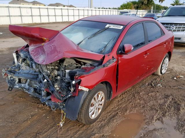 KNAFU4A29A5073164 - 2010 KIA FORTE EX RED photo 2